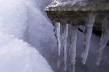 Güneşli bir kış gününde, Odun Kulübesinden sarkan buz saçakları