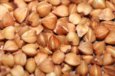 Karabuğday. Fotoğrafta, karabuğday taneleri yakından çekiliyor. Fotoğraf kahverengi, bej ve pastel renklerde çekilmiş..