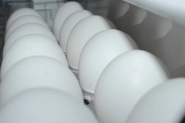 Куриные Яйца Холодильнике Два Ряда Фотография Сделана Белых Цветах — стоковое фото