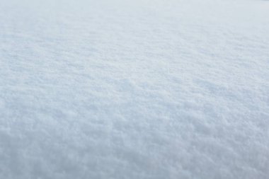 background in the form of a smooth layer of fresh snow, in white and blue colors