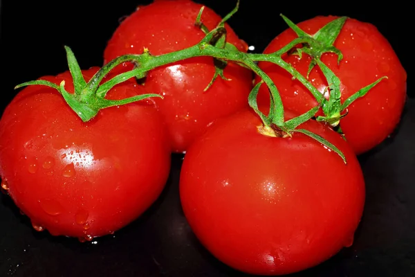 Ripe Bright Red Tomatoes Green Leaves Water Drops Black Background — Stock Photo, Image