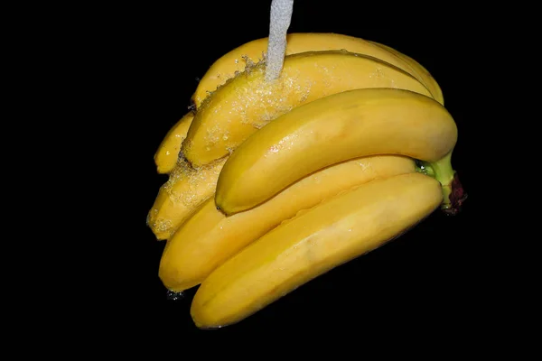 Een Bos Rijpe Bananen Wordt Gewassen Onder Een Stroom Schoon — Stockfoto