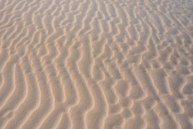 Sahil şeridi boyunca kumda desen var. 