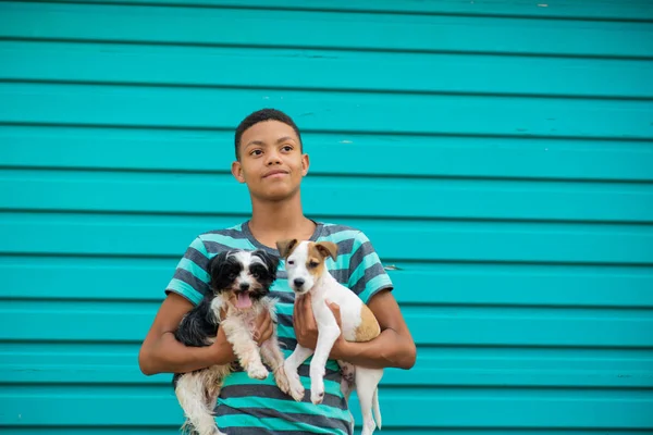 Junge hält zwei Hunde im Arm — Stockfoto