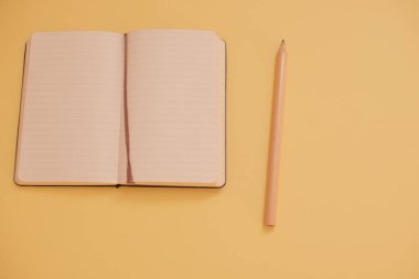 Sarı zemin üzerinde kalem olan defter