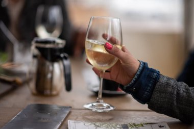 Bir kadeh şarap tutan kadını yakından çek.