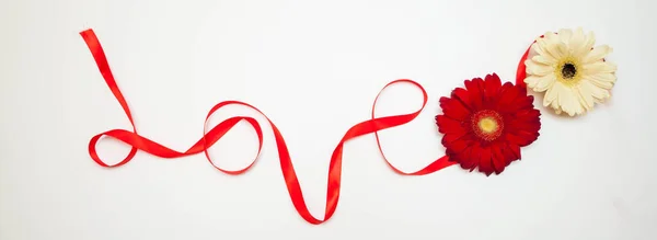 Banner with the inscription love made of red ribbon. next to two gerberas, red and white. — Stock Photo, Image