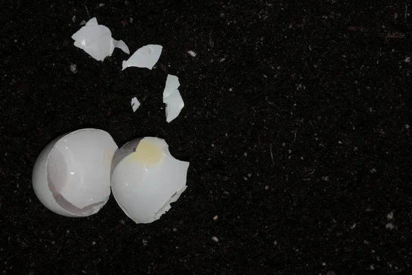 Yerdeki yumurtalardan kırılan kabuklar. Dünya için doğal ekolojik gübre kavramı. Agronomi