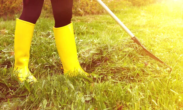 Zöld Tisztítása Fűnyírás Után Sárga Gumicsizma Ventilátor Gereblye Szubbotnik Fogalma — Stock Fotó