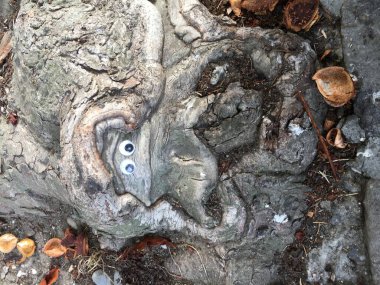 Sokak sanatı kurbağası