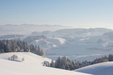 aydınlık kış manzarası