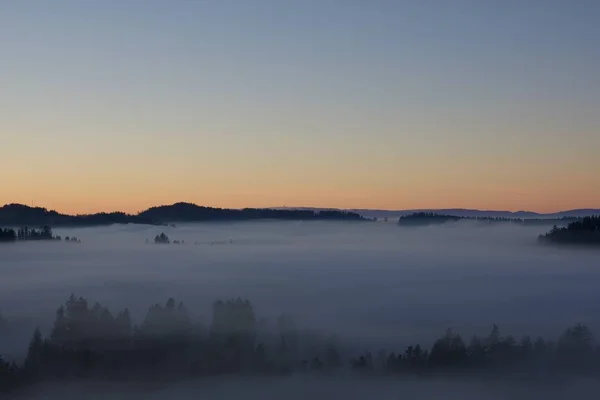 Morze mgły z wyspą leśną — Zdjęcie stockowe