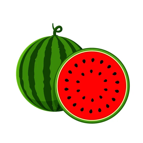 Wassermelonen-Vektor. Wassermelone mit rotem Fruchtfleisch halbiert isoliert auf weißem Hintergrund. — Stockvektor