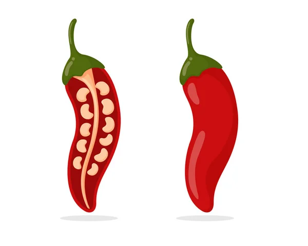 Würzige rote Chilischoten werden halbiert, bis die Chilikerne im Inneren sichtbar sind. — Stockvektor