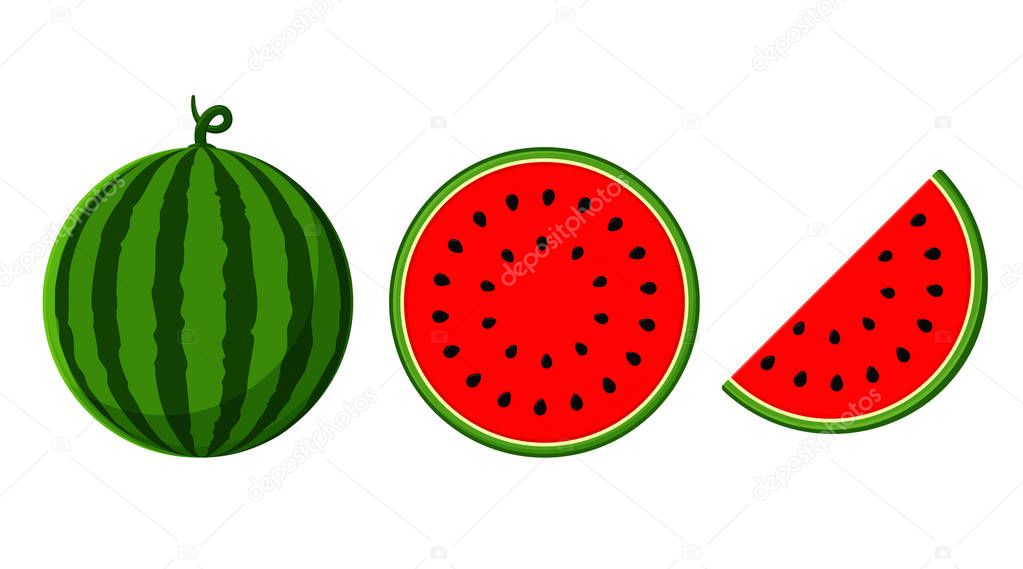 Watermelon vector. Watermelon with red flesh is halved isolate on a white background.