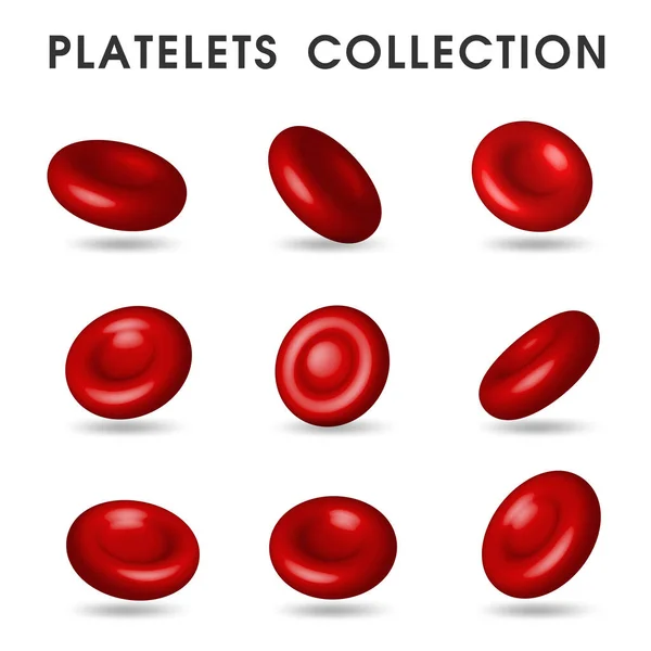 Gráficos plaquetarios realistas que circulan en los vasos sanguíneos del cuerpo humano — Archivo Imágenes Vectoriales