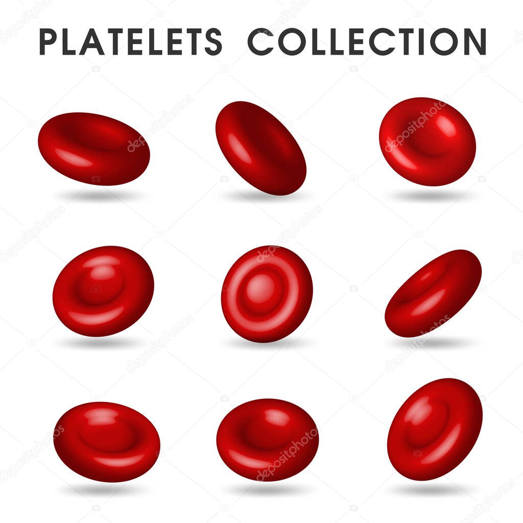 Realistic platelet graphics That circulates in the blood vessels in the human body