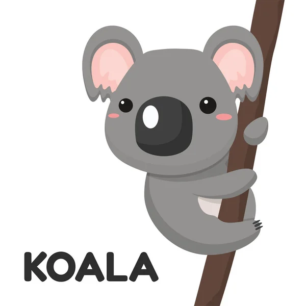 Koala Cartoon Vector. Koala, która mieszka na drzewie. Izolacja na białym tle. — Wektor stockowy