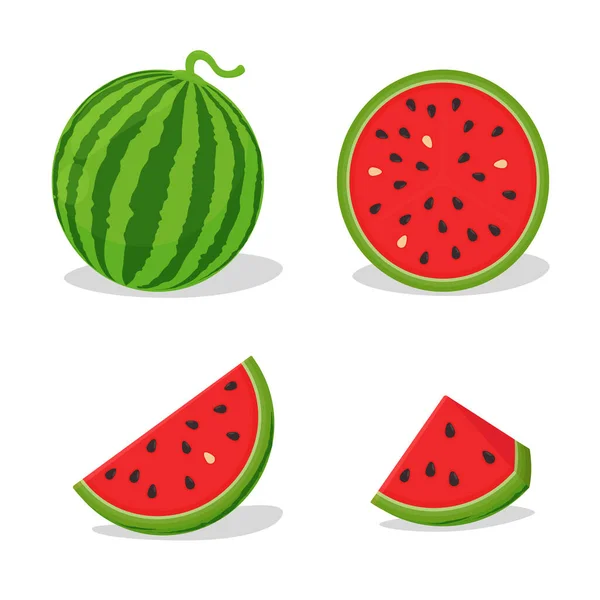 Vector halved red flesh watermelon. Watermelon is popular in the summer. — Stock Vector