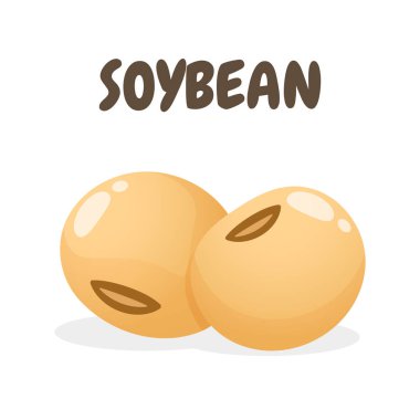 Taze soya fasulyesi vektörü. Sağlığa soya sütü yapmak için soya fasulyesi tohumu. Beyaz arkaplanda izole.