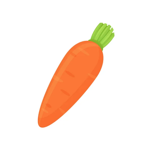 Vegetabilisk Vektor Orange Morötter Isolerad Vit Bakgrund — Stock vektor