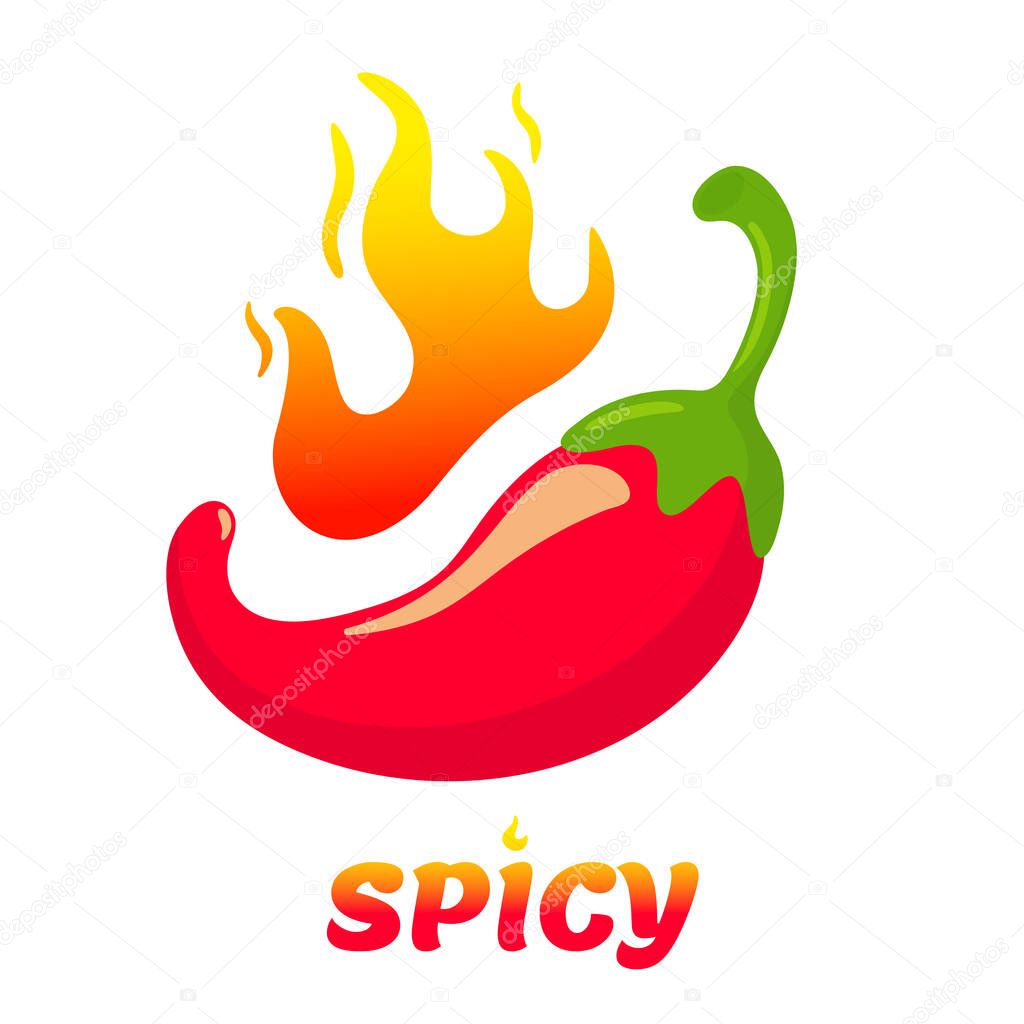 Vector chili peppers that are hot until the fire burns. Spicy Mexican style food. isolate on white background.