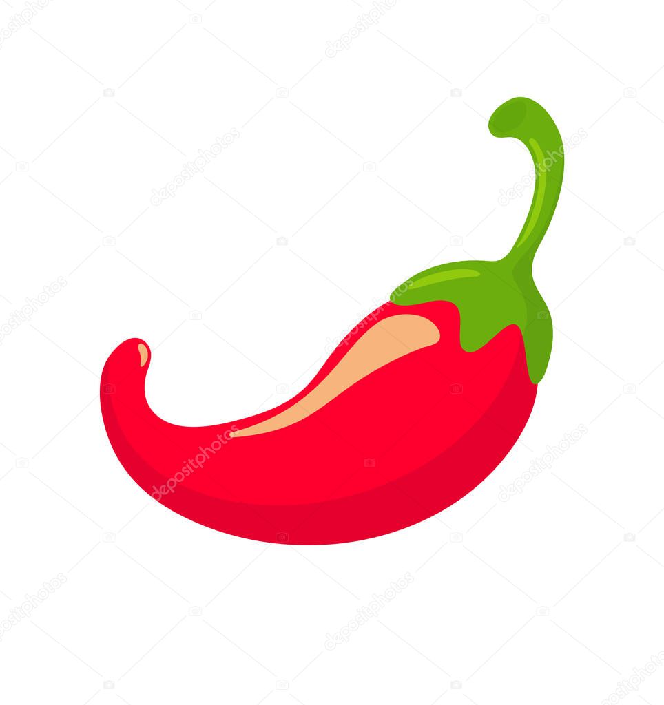 Spicy red hot chilli pepper for cooking spicy Mexican flavors Isolated on a white background.