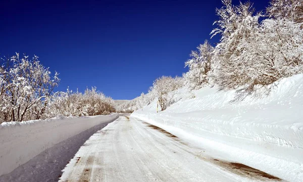 Kar yola — Stok fotoğraf