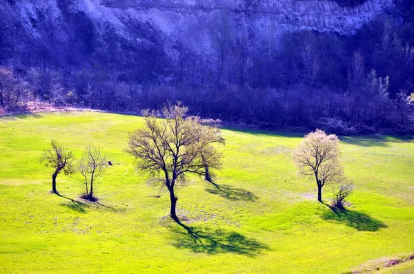 モンテバビオの春 丘の色のコントラスト — ストック写真