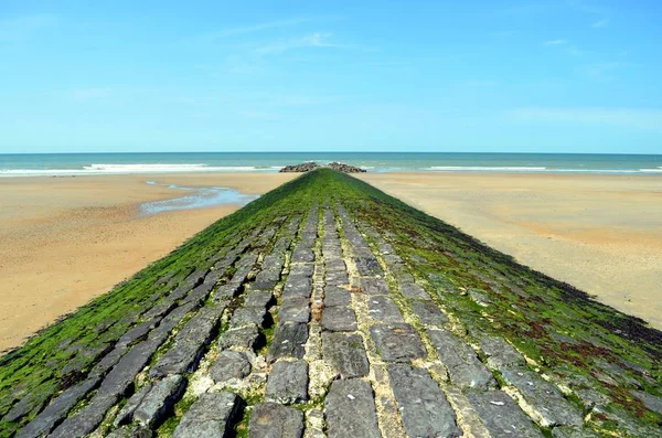 Jeux Formes Couleurs Dans Une Plage Sur Océan Atlantique — Photo