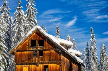 Kış gökyüzünün altında