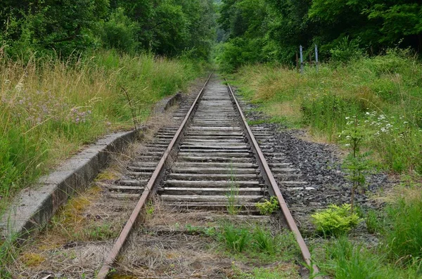 Eski demiryolu artık hiçbir yere gitmiyor.