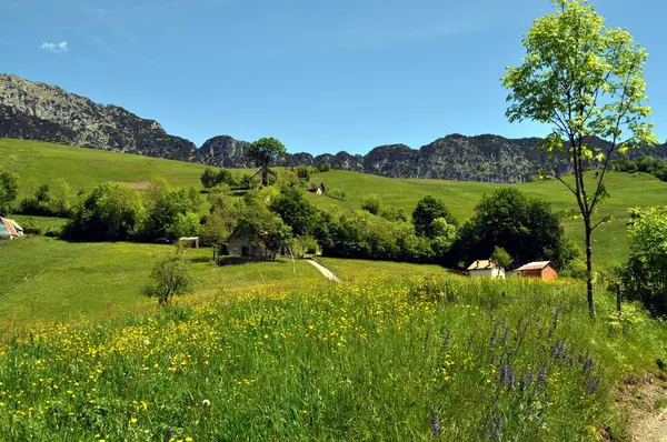 Dağların altındaki çayırlar — Stok fotoğraf