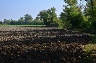Yeni sürülmüş tarlanın küçük bir köşesi ekime hazır.