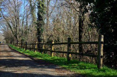 Bir derenin yanında, çalılıkların arasından sessiz bir patika akıyor.