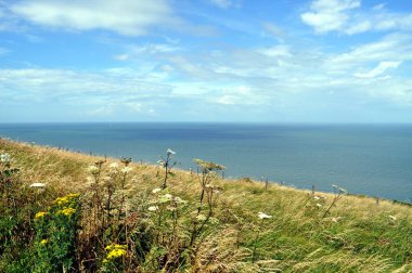 çiçekler ve bulutlar