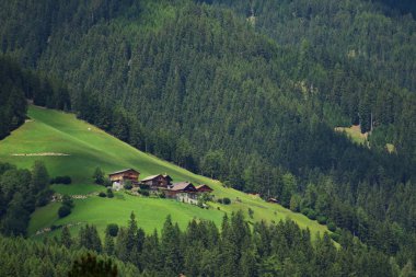 Aşağıdaki çiftlikler