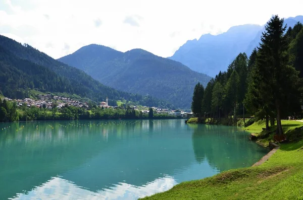 Acqua e alberi — Foto Stock