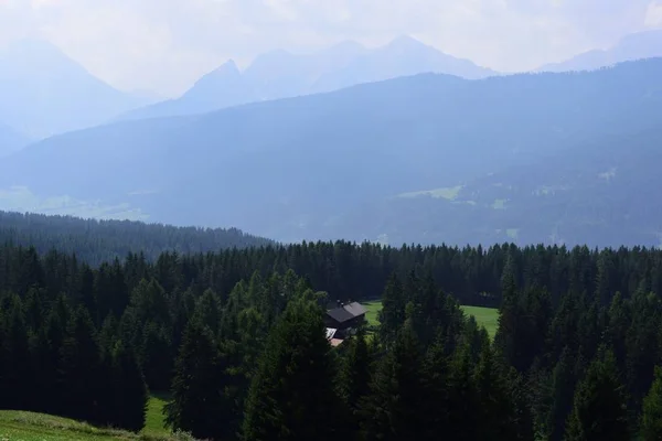 Boschi nella valle — Foto Stock