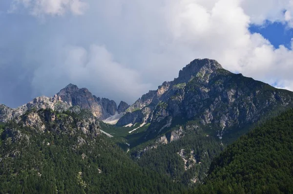 Bosrijke bergen — Stockfoto