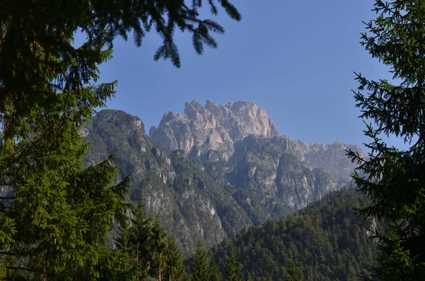 Grigna på morgonen — Stockfoto