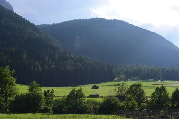 Sommaren ängar — Stockfoto