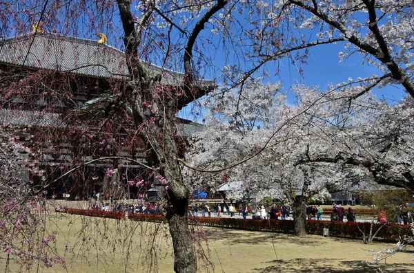 Cores da primavera — Fotografia de Stock