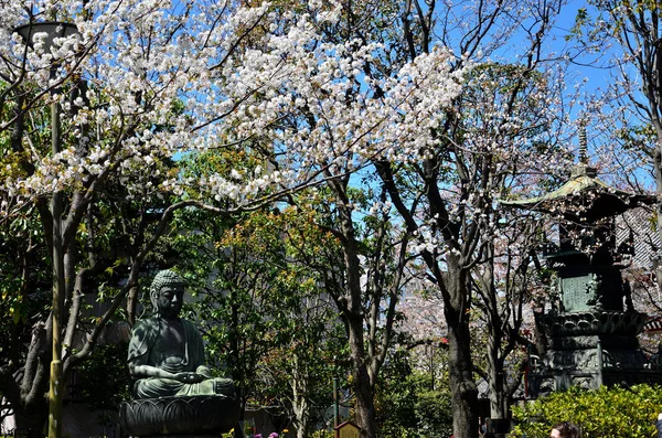 Jardim com Buda — Fotografia de Stock