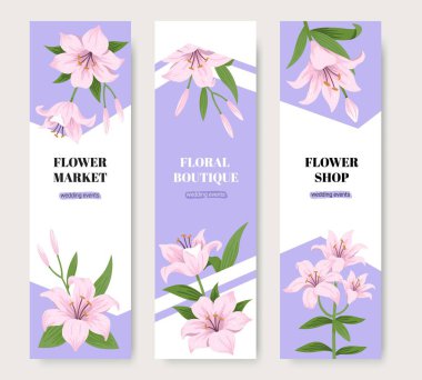Metin için alanı olan bir etiket şablonu seti. Kozmetik, çiçekçi ve çiçekçi için tasarım. Pembe zambaklı süslemeler. Vektör illüstrasyonu.
