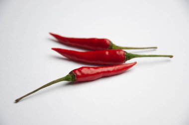 Beyaz arkaplanda Chili Padi