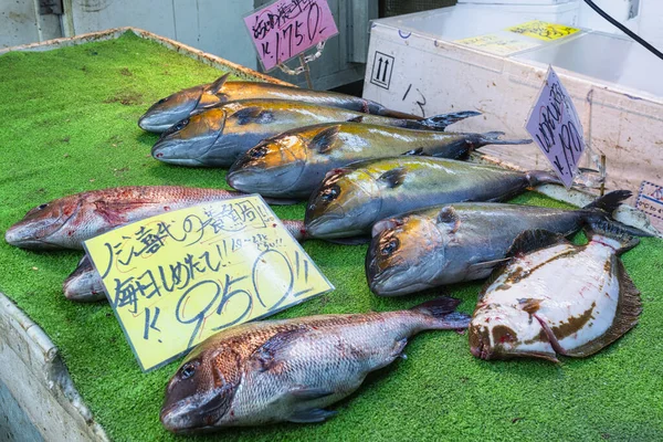 Tokyo Japan. Fish Market.