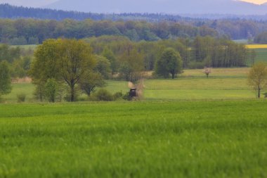 alanları ve tepeler güzel manzara 