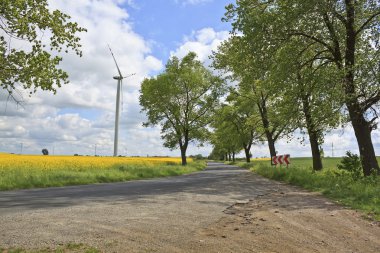 Rüzgar türbinleri bitki doğa