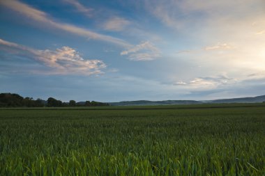 Dramatik günbatımı atmosfer